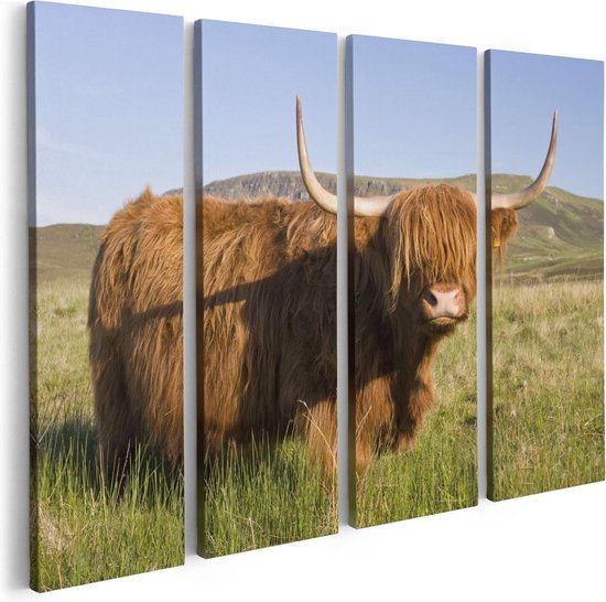 Artaza Toile Peinture Quadriptyque Scottish Highlander Vache - Couleur - 80x60 - Photo sur Toile - Impression sur Toile