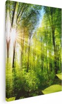 Artaza Canvas Schilderij Weg Omringd Met Bomen In Het Bos - 60x80 - Foto Op Canvas - Canvas Print