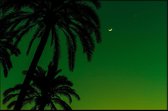 Walljar - Silhouet Groene Lucht - Muurdecoratie - Canvas schilderij