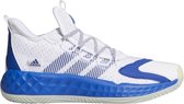 adidas Performance De schoenen van het basketbal Pro Boost Low