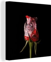 Peintures sur toile Roses - Fleurs - Peinture - 20x20 cm - Décoration murale