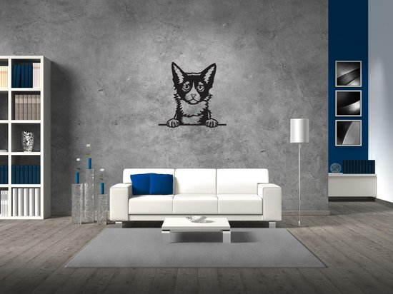 LaPerm - Chat - Femelle - M - 60x61cm - Zwart - décoration murale