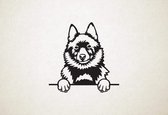 Schipperke - hond met pootjes - XS - 25x25cm - Zwart - wanddecoratie