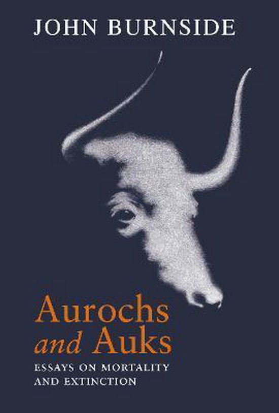 Boekomslag met de titel 'Aurochs and Auks' en een illustratie van een witte stierenkop met hoorns op een donkerblauwe achtergrond.