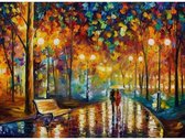 Diamond painting - Romantische wandeling in park - Geproduceerd in Nederland - 20 x 30 cm - dibond materiaal - vierkante steentjes - Binnen 2-3 werkdagen in huis