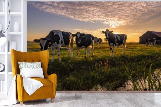 Papier peint - Papier peint photo Vache - Animal - Pâturage - Largeur 390 cm x hauteur 260 cm