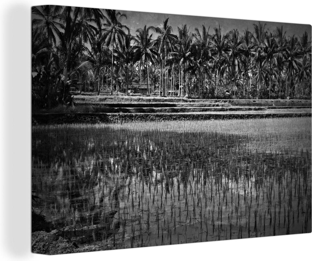 Canvas Schilderij Rijst - Palmboom - Azië - 30x20 cm - Wanddecoratie - OneMillionCanvasses