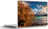 Laptop sticker - 14 inch - Pehoe meer - Chili - Herfst - 32x5x23x5cm - Laptopstickers - Laptop skin - Cover
