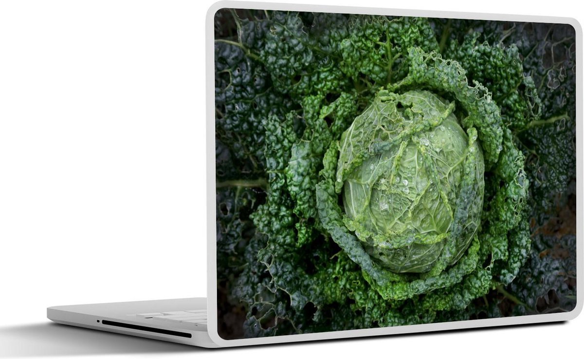 Afbeelding van product SleevesAndCases  Laptop sticker - 11.6 inch - Een grote savooiekool met een lichtgroen centrum