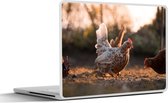 Laptop sticker - 14 inch - Scharrelende kippen in zacht licht - 32x5x23x5cm - Laptopstickers - Laptop skin - Cover
