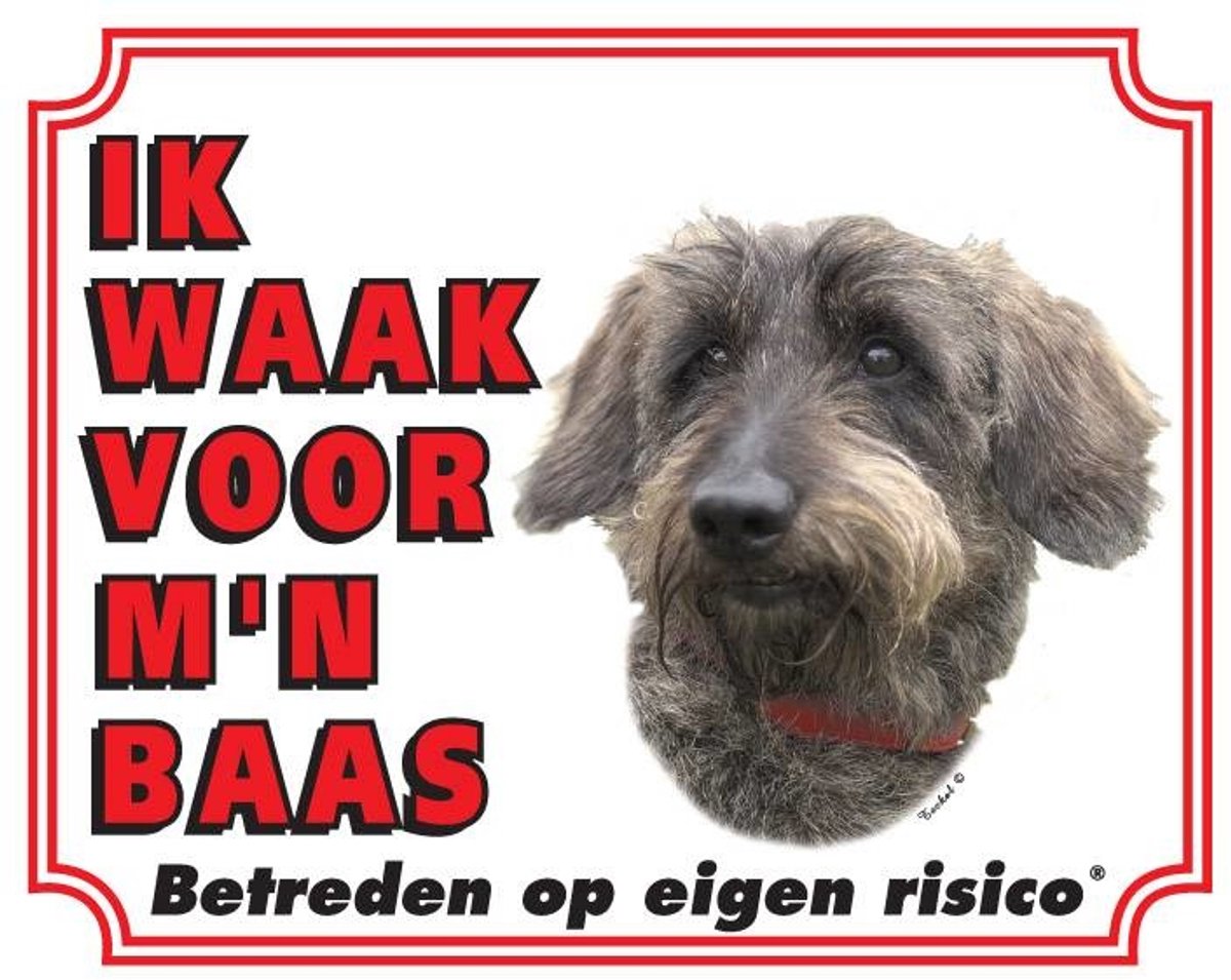 Teckel Waakbord - Ruwhaar