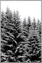 JUNIQE - Poster met kunststof lijst Besneeuwde kerstbomen -13x18