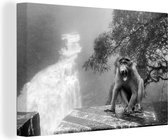 Tableau sur toile Singe qui crie devant la cascade - noir et blanc - 90x60 cm - Art Décoration murale
