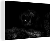 Canvas Schilderij Zwarte panter in een donker bos - zwart wit - 120x80 cm - Wanddecoratie