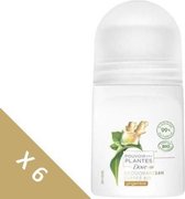 [Partij van 6] DOVE Biologische Gember Roll-on Deodorant - Vrouwen - 50 ml