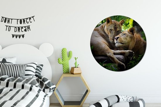Wallpaper Circle - Lion - Câlin - Forêt - 100x100 cm - Wall Circle - Auto-adhésif - Papier Peint Rond Autocollant XXL