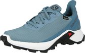 Salomon lage schoen alphacross 3 Donkergrijs-9 (43)