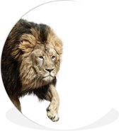 WallCircle - Peinture - Lion - Multicolore - 150 X 150 Cm