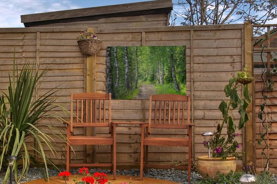 Tuindecoratie Bos - Bomen - Berk - 60x40 cm - Tuinposter - Tuindoek - Buitenposter