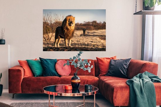 Affiche Lion - Colline - Soleil - 120x80 cm