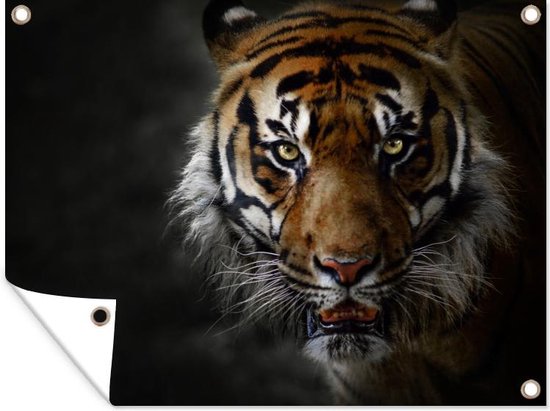 Affiche jardin - Toile jardin - Affiches jardin extérieur - Tigre - Animal - Prédateurs - Posters de jardin cm - Jardin