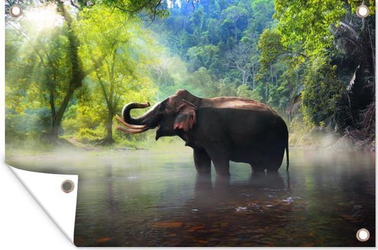 Tuinposters buiten Olifant - Water - Natuur - 90x60 cm - Tuindoek - Buitenposter