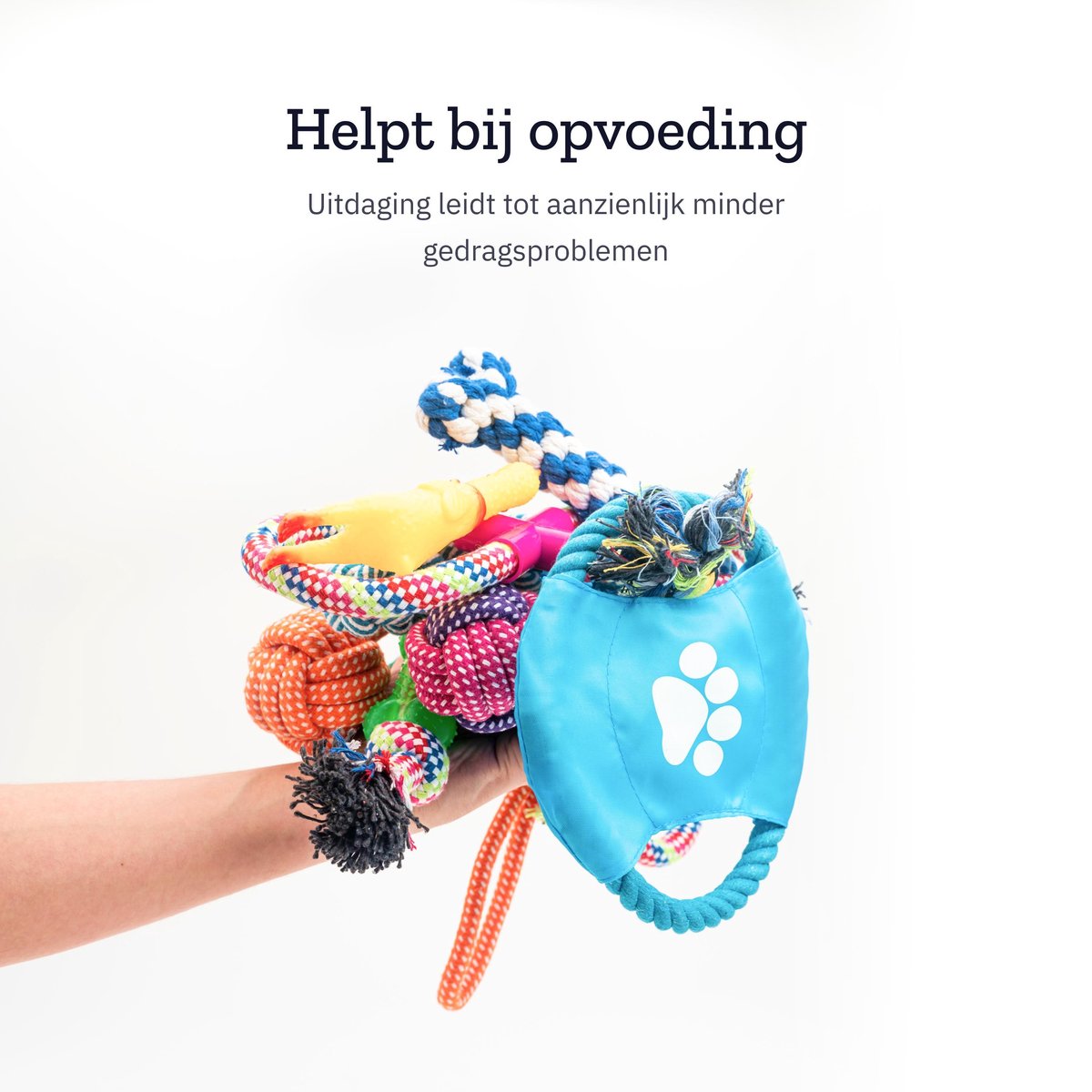Honden Speelgoed Set - 12 Stuks - Voor Puppy's tot Middelgrote Honden - Interactief Hondenspeelgoed Sterk - Hondenspeeltjes intelligentie - Incl. Hondenbal en Trektouw - Dog Toy - All 4 Pets Supply — afbeelding 5