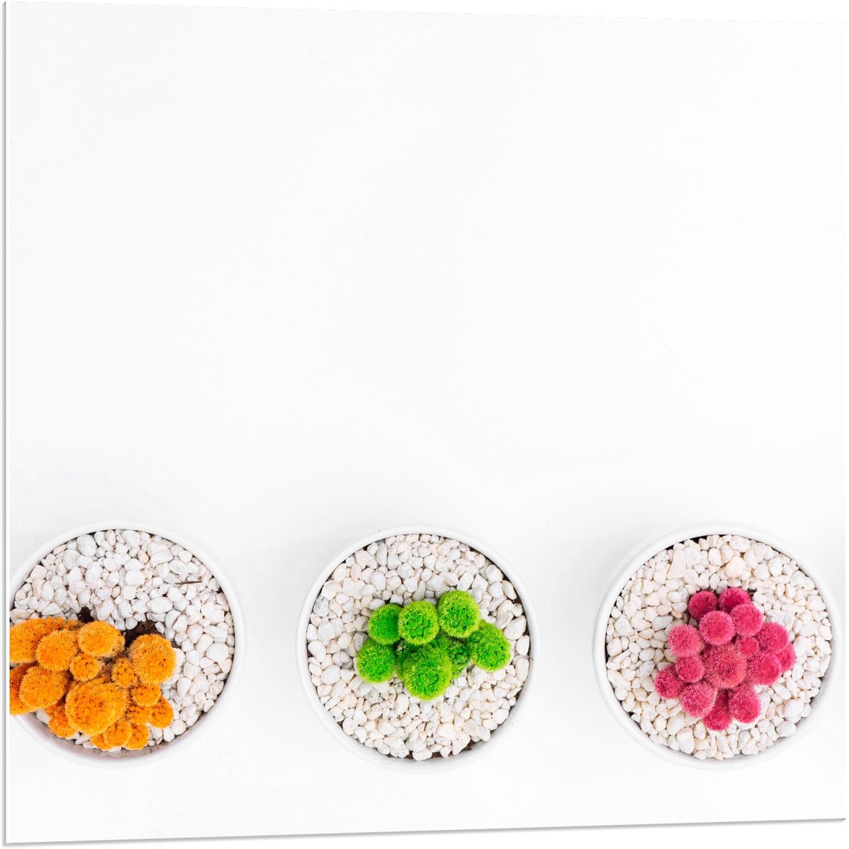 Forex - Gekleurde Cactuspotjes - 80x80cm Foto op Forex