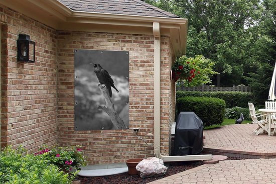 Affiche jardin - Toile Posters de jardin extérieur - Un corbeau noir sur une branche cassée - noir et blanc - 80x120 cm - Jardin