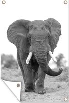 Tuindecoratie Tegemoetkomende olifant - zwart wit - 40x60 cm - Tuinposter - Tuindoek - Buitenposter