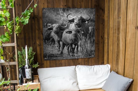 Nappe de jardin Groupe de buffles curieux - noir et blanc - 100x100 cm
