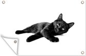 Tuinposter - Tuindoek - Tuinposters buiten - Liggende zwarte kat - zwart wit - 120x80 cm - Tuin