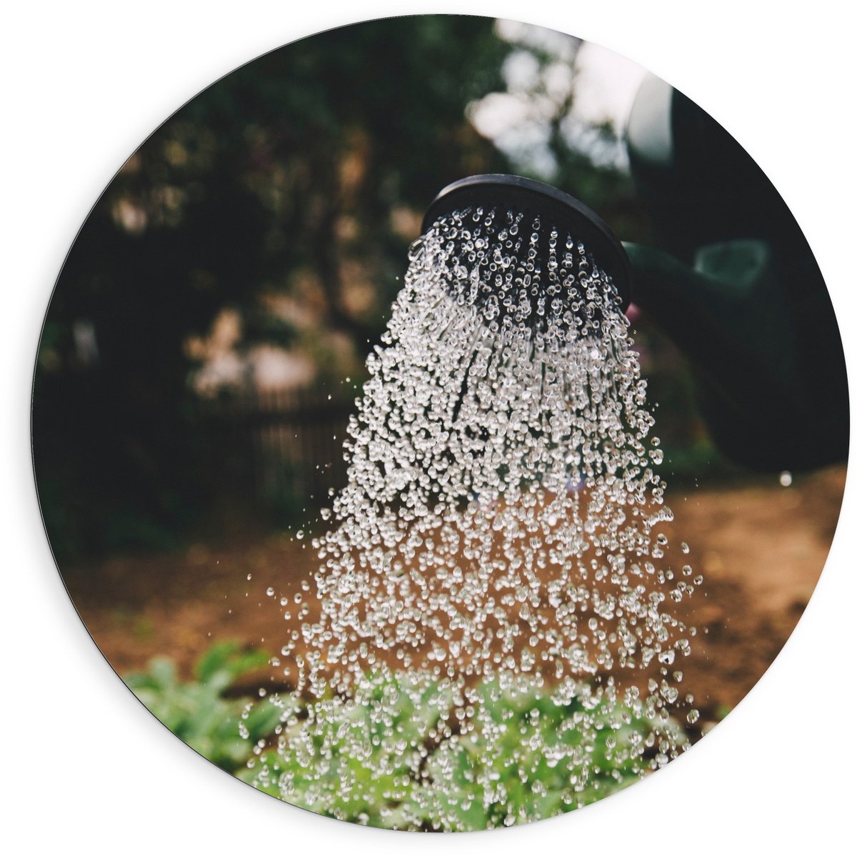 Dibond Wandcirkel - Regendouche in de Natuur - 90x90cm Foto op Aluminium Wandcirkel (met o