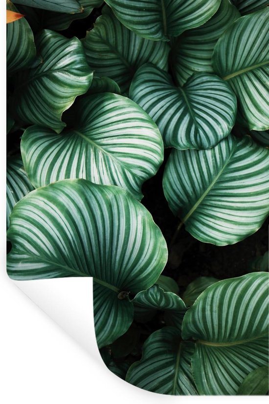 Stickers Stickers muraux - Feuilles - Plantes - Portrait - 80x120 cm - Film adhésif