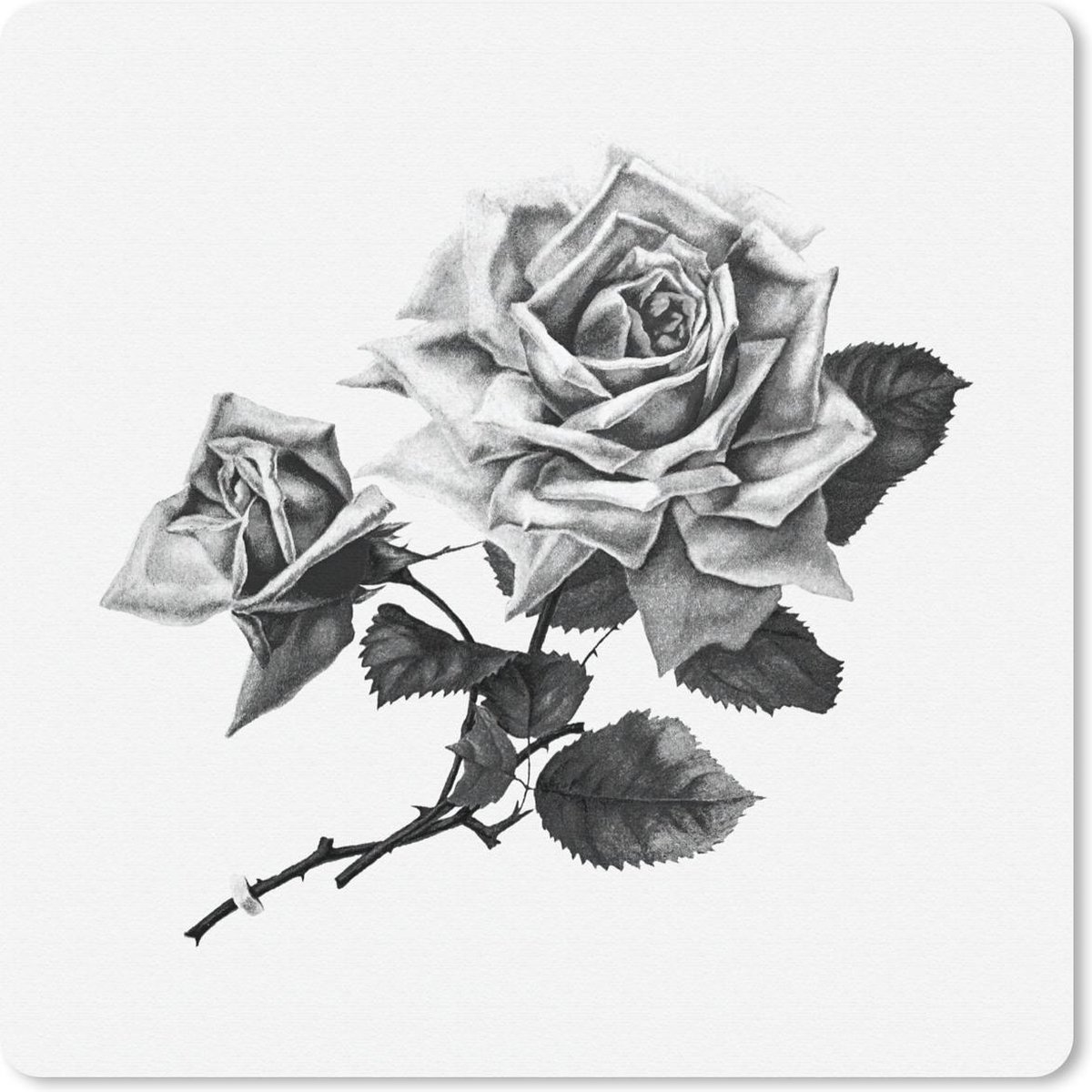 Muismat 20x20 cm - Mousepad Vintage - Rozen - Bloemen - Muismatten
