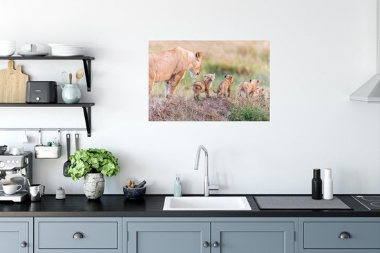 Affiche Lion - Bébé - Sauvage - 60x40 cm