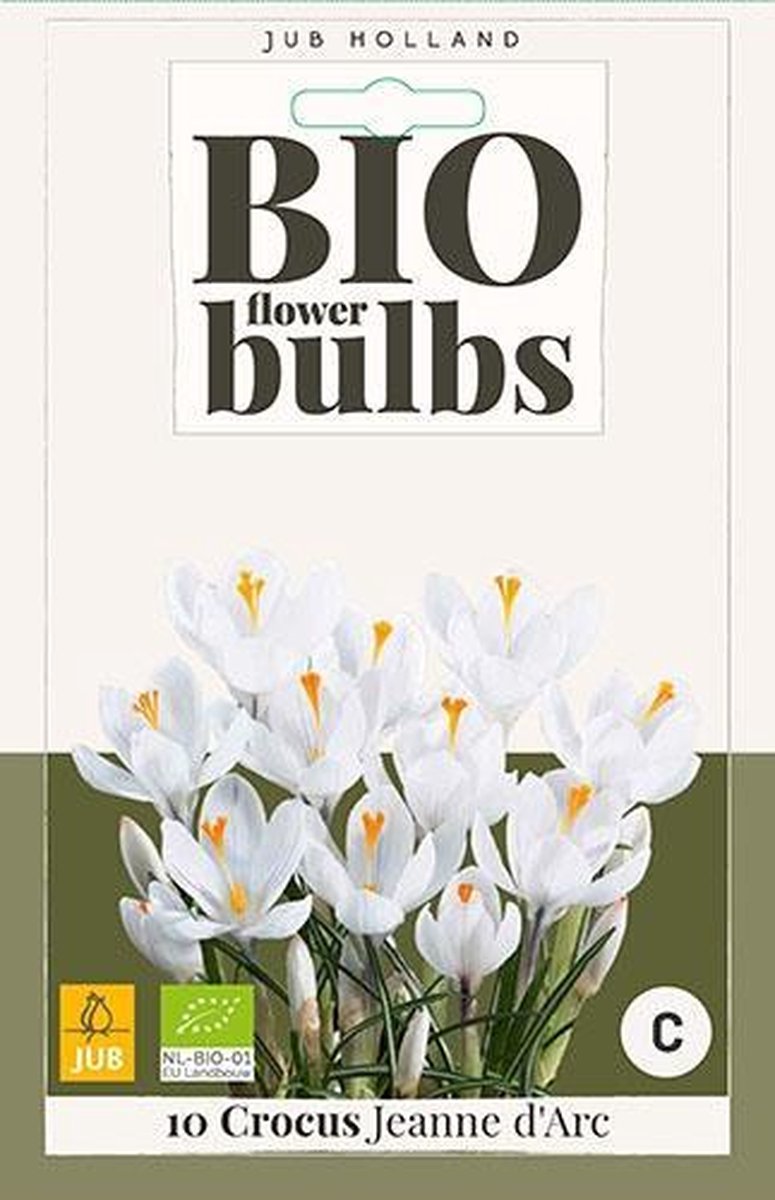 X 10 Crocus Jeanne d'Arc