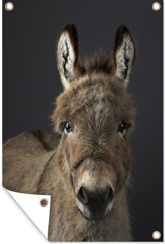 Portrait chevalet Affiche de jardin 100x200 cm - Toile de jardin / Toile d'extérieur / Peintures d'extérieur (décoration de jardin) XXL / Groot format!