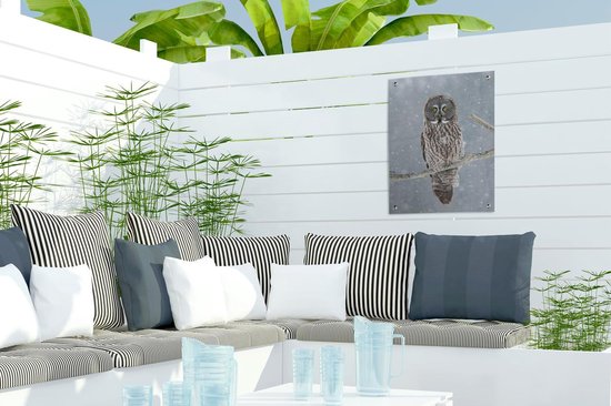 Affiche jardin - Chouette dans la neige - 30x40 cm