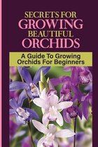 Secrets For Growing Beautiful Orchids: A Guide To Growing Orchids For Beginners