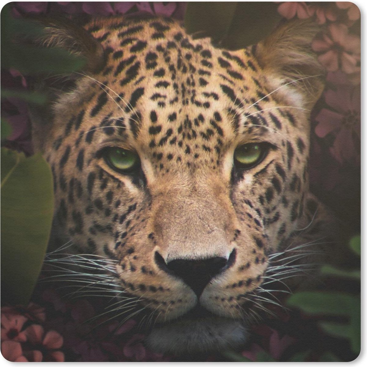 Muismat 20x20 cm - Mousepad Dieren - Panter - Jungle - Muismatten