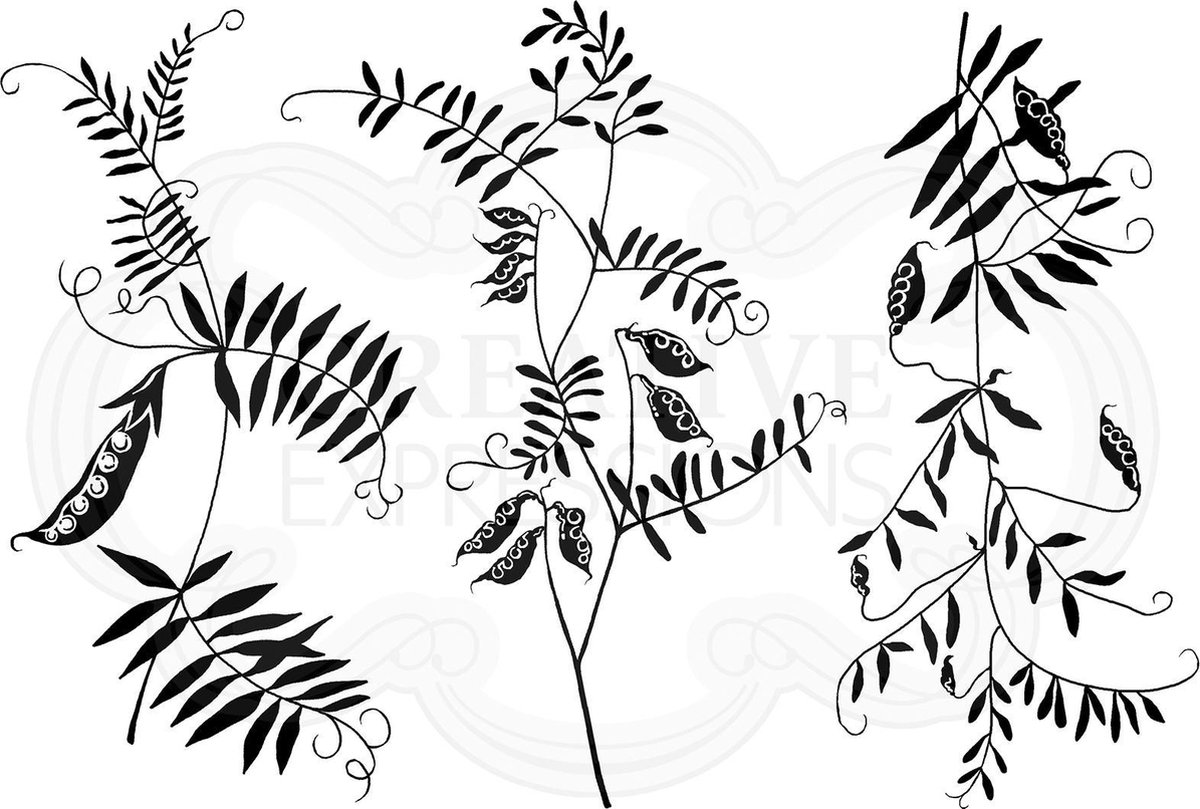 Woodware Clear stamp - Bloemen - Boswikke - A6 - Polymeer