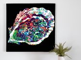 Auroral abalone explosion | Auroral Abalone Explosion | Kunst - 60x60 centimeter op Dibond | Foto op Dibond - wanddecoratie schilderij