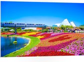 WallClassics - PVC Schuimplaat - Kleurrijk Bloemenveld in Park - 105x70 cm Foto op PVC Schuimplaat (Met Ophangsysteem)
