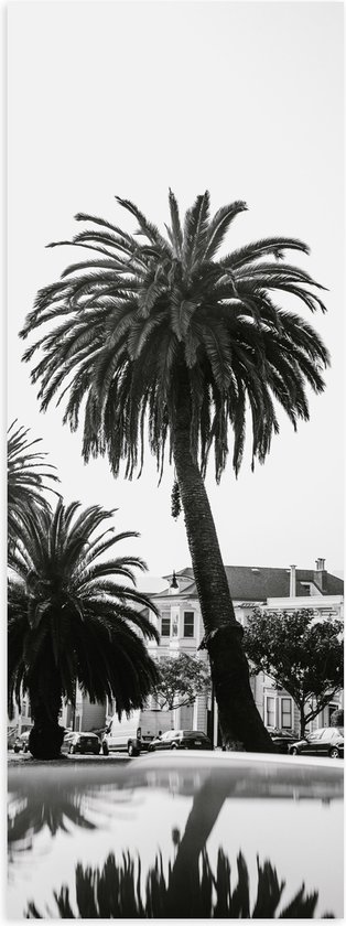 WallClassics - Poster (Mat) - Palmbomen in Amerikaanse Buurt (Zwart- wit) - 20x60 cm Foto op Posterpapier met een Matte look