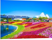 WallClassics - PVC Schuimplaat - Kleurrijk Bloemenveld in Park - 100x75 cm Foto op PVC Schuimplaat (Met Ophangsysteem)