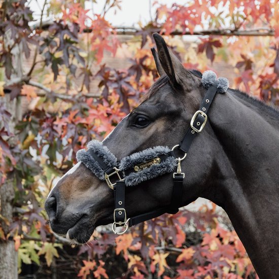 BR Springschoen Pro Max Bont | Paardensport BR Springschoen Pro Max Bont | Paardensport