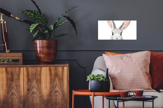 Poster Lapin - Animaux - Nature - Wit - 40x20 cm