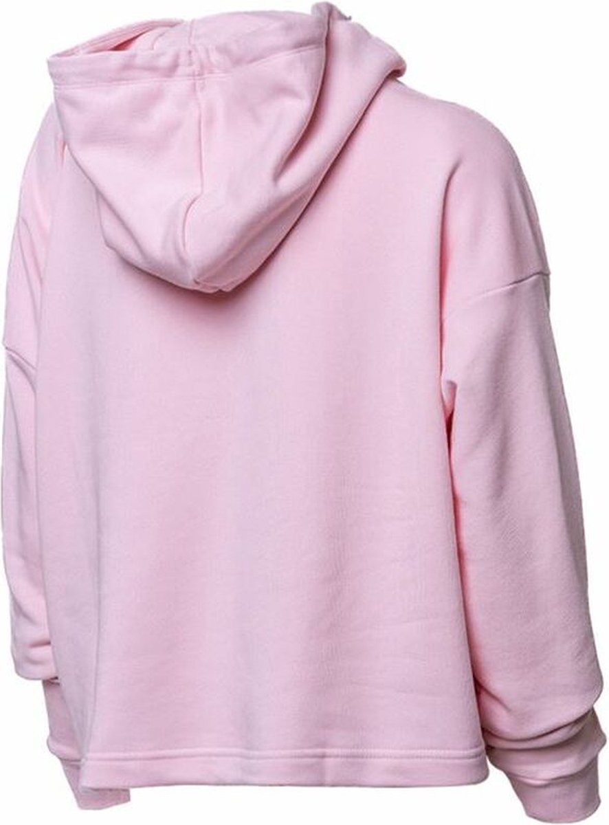 Women’s Hoodie Puma Power Tape Cropped W Roze