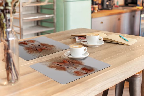 Set de Table - Napperons en Plastique - Écureuil - Animaux - Nature - Oranje - Wit - 45x30 cm - 6 pièces - Résistant à la Chaleur - Antidérapant - Coussinet - Amovible